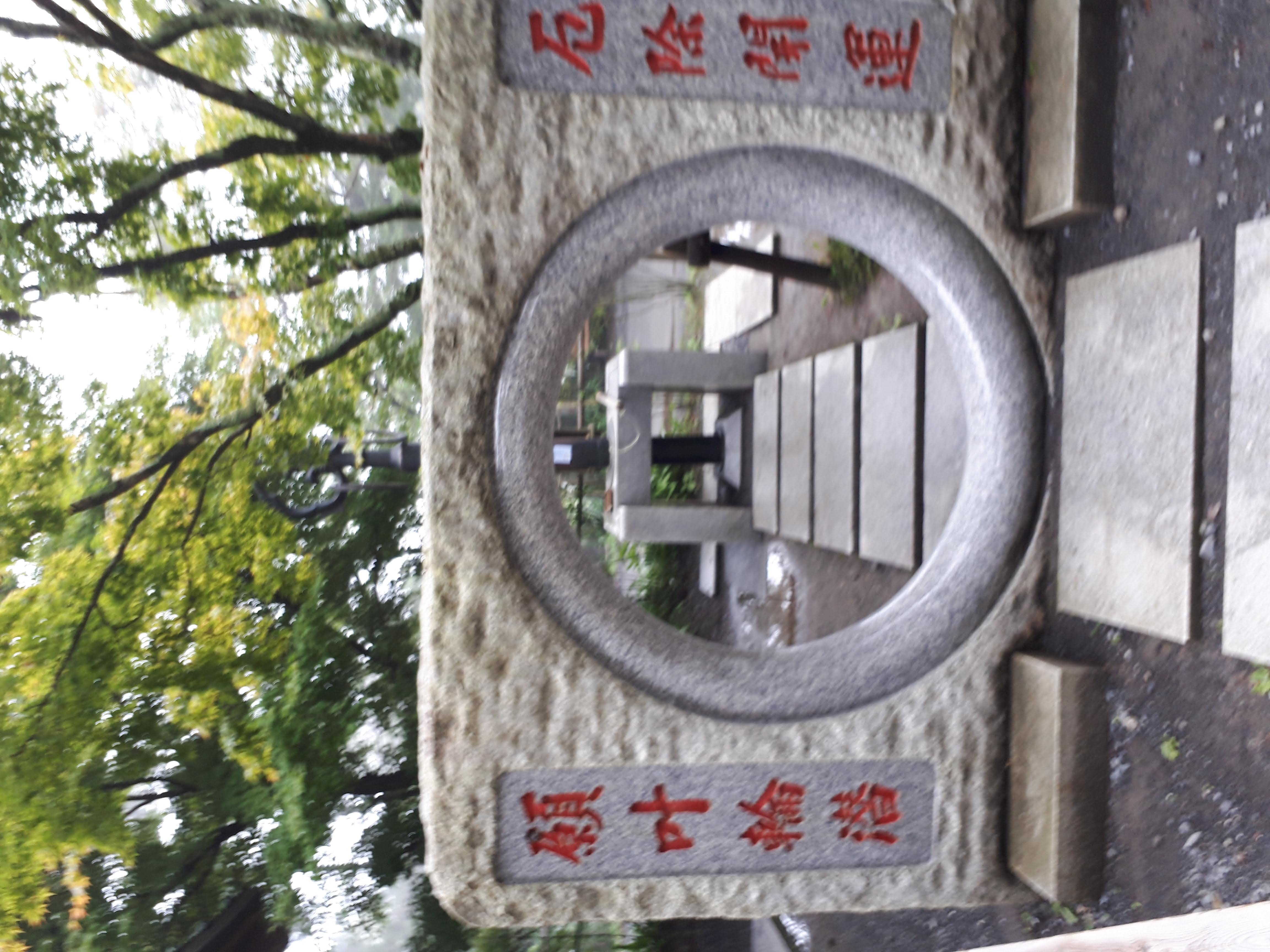 Looking through the ring toward the path beyond