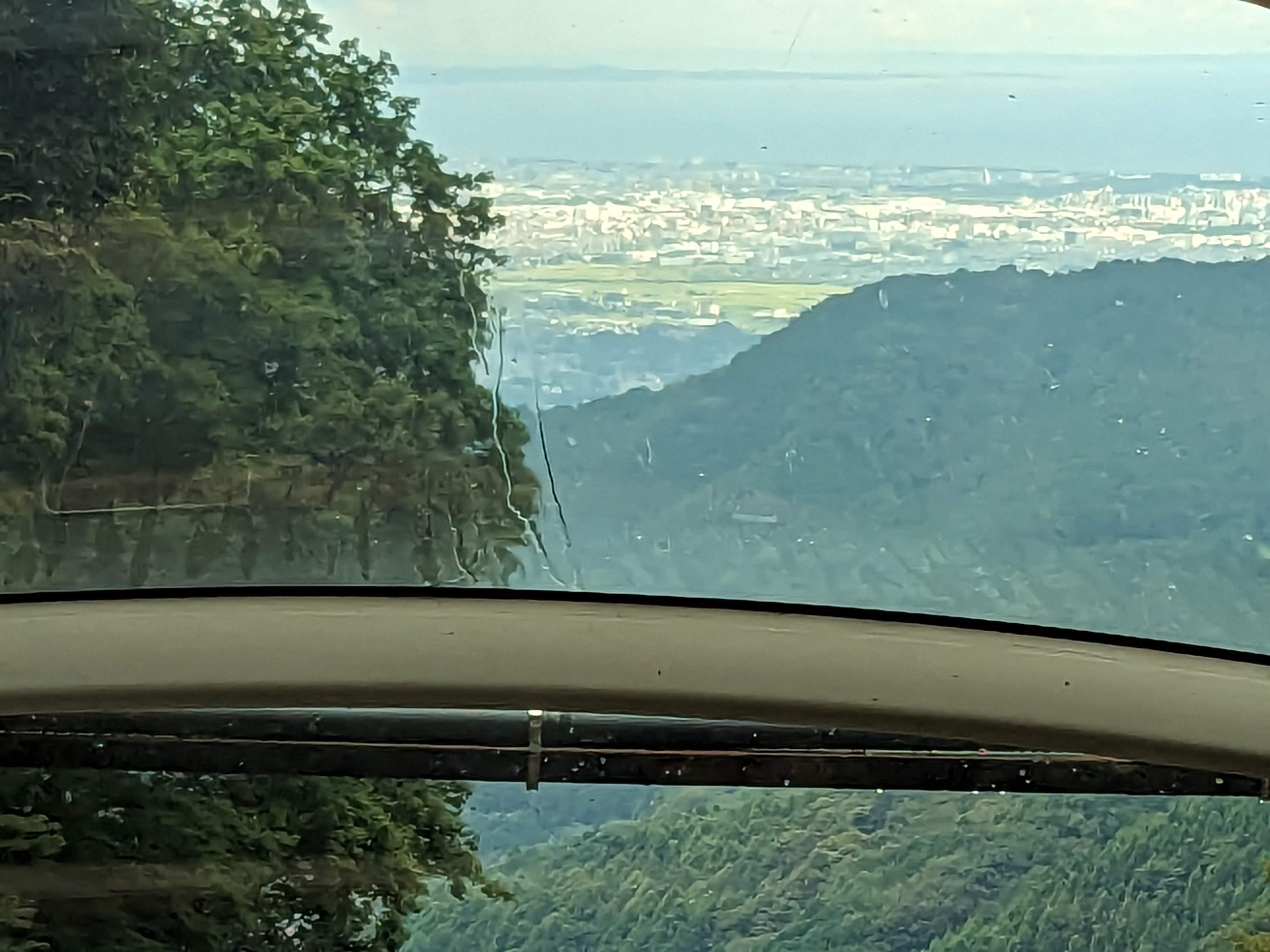 下社境内から見た杉の大木。天に向かって真っすぐ伸びる古木が神聖な雰囲気を作っている