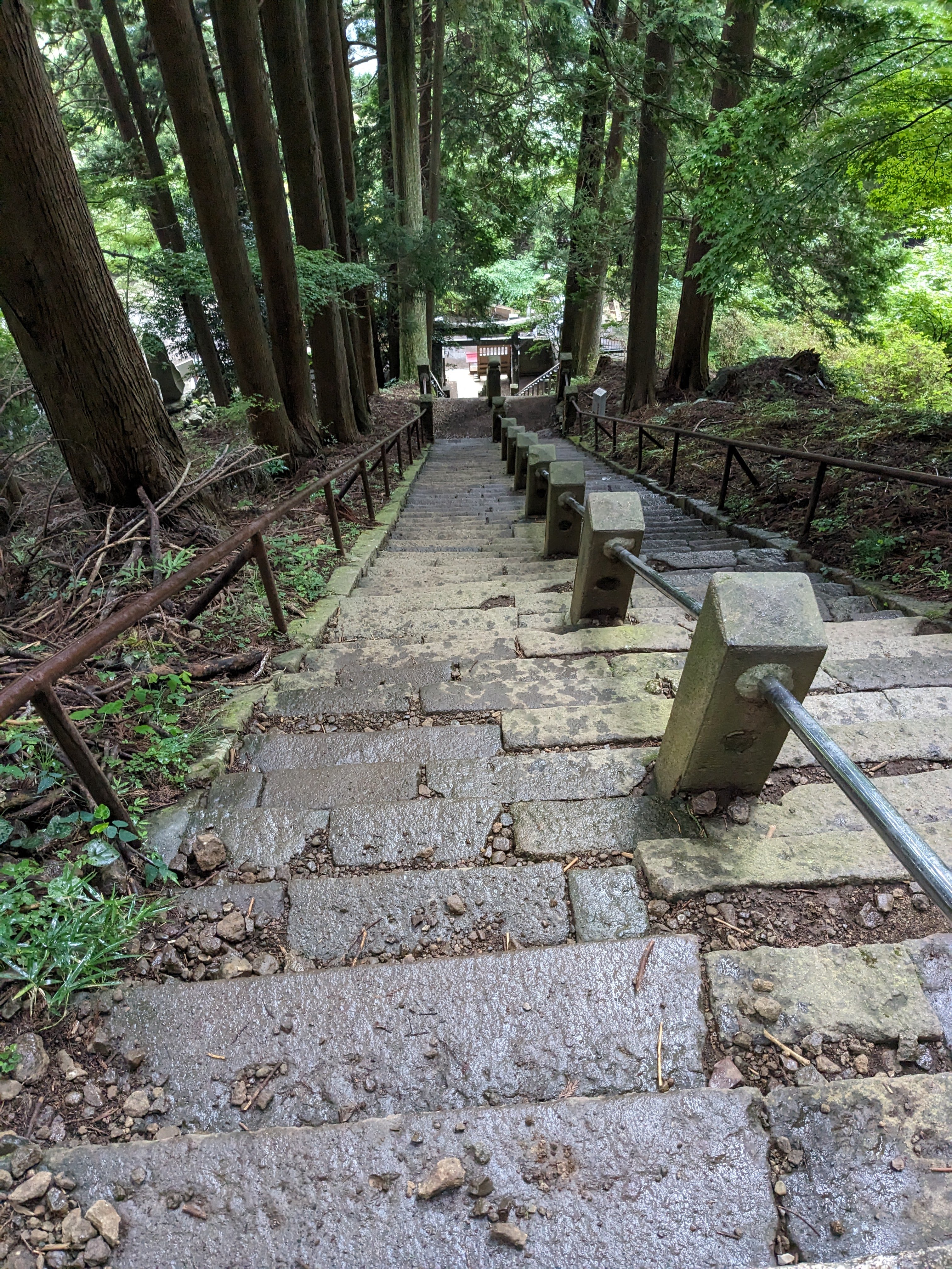 登山道入口の案内板。「大山頂上まで90分」と書かれた道標が立つ