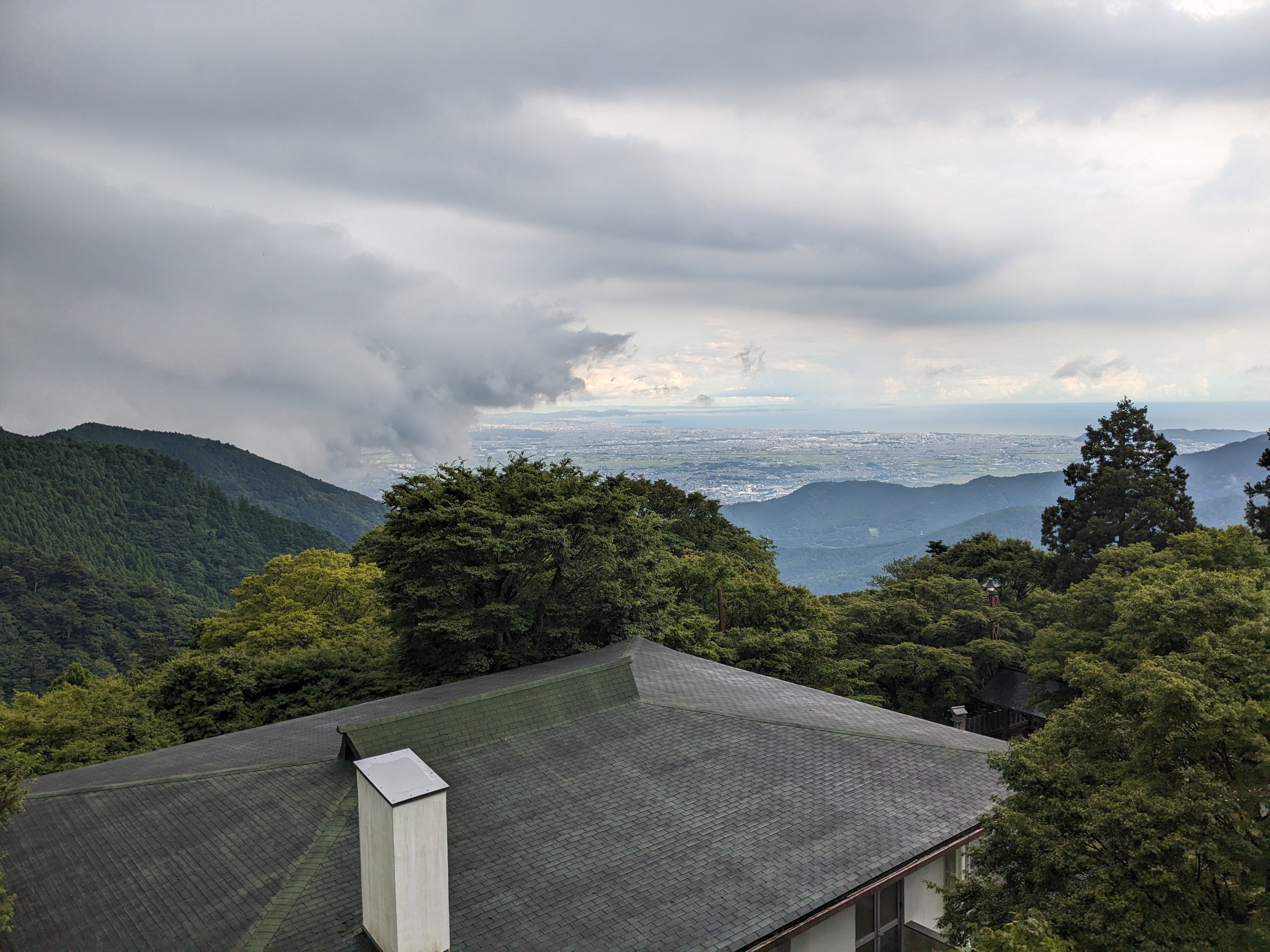 登山道の苔むした岩と大木の根元。山頂方向へ続く薄暗い森の道