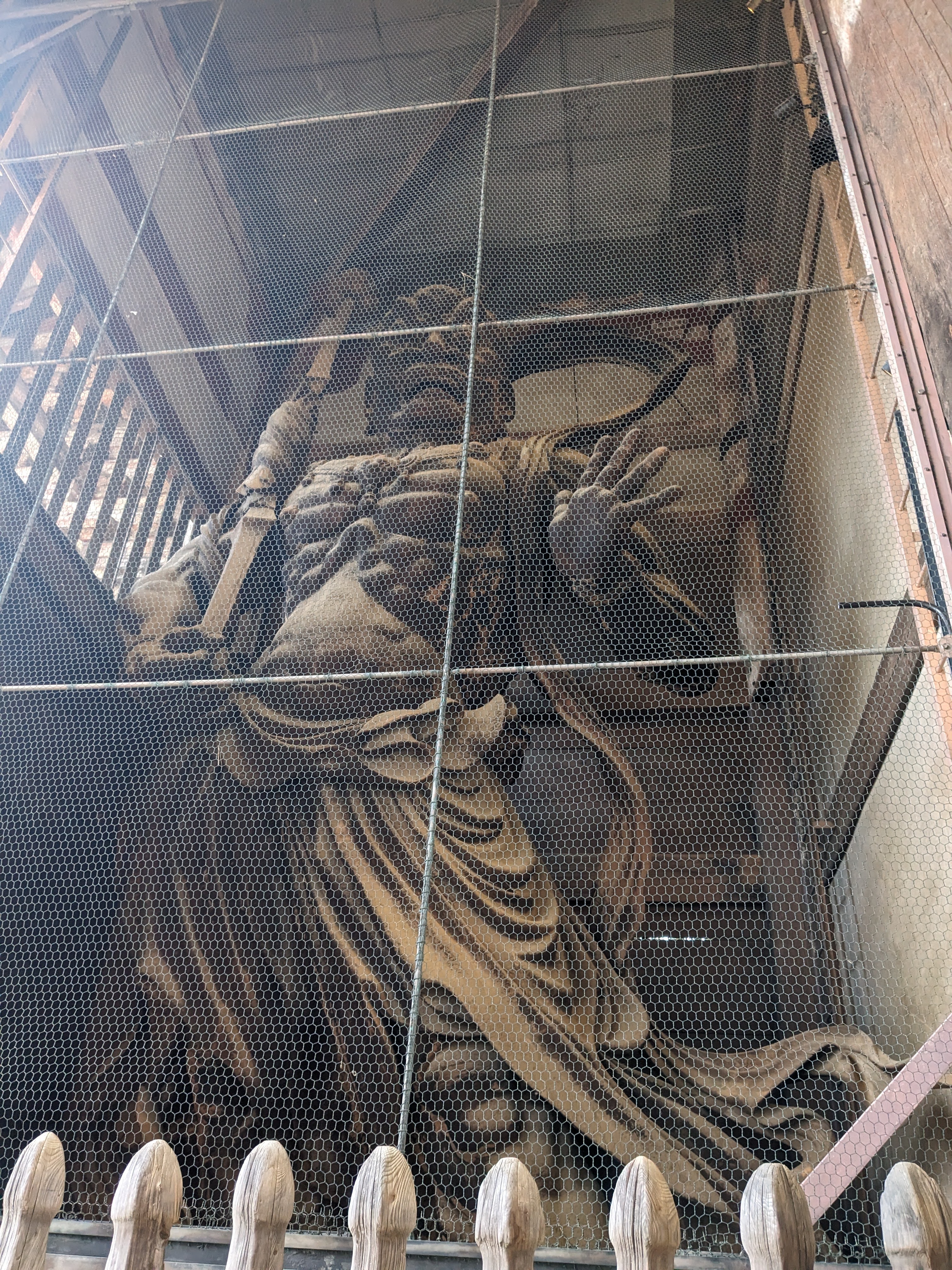 鹿せんべいタイム