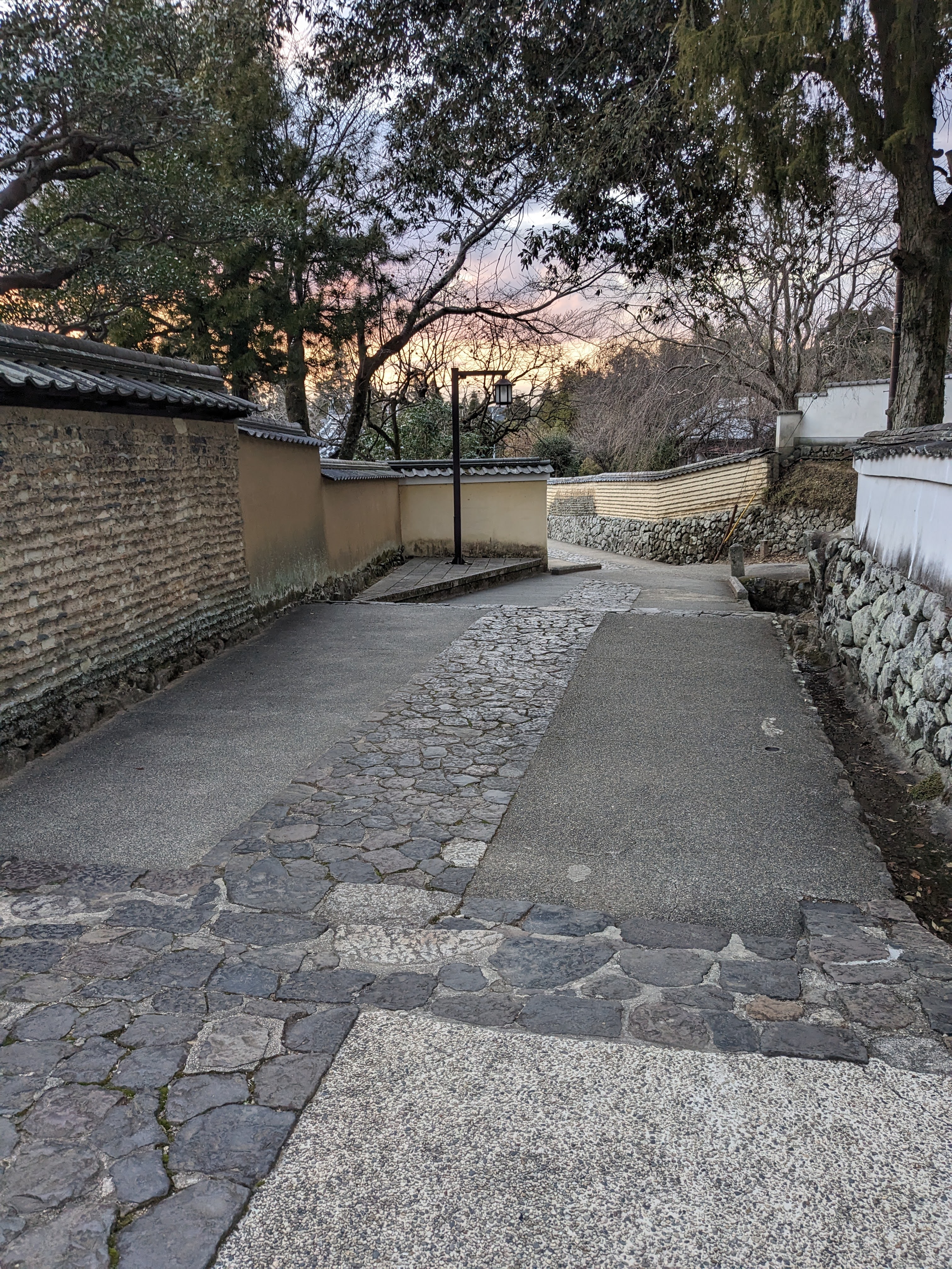 Evening alley near Nigatsu-do