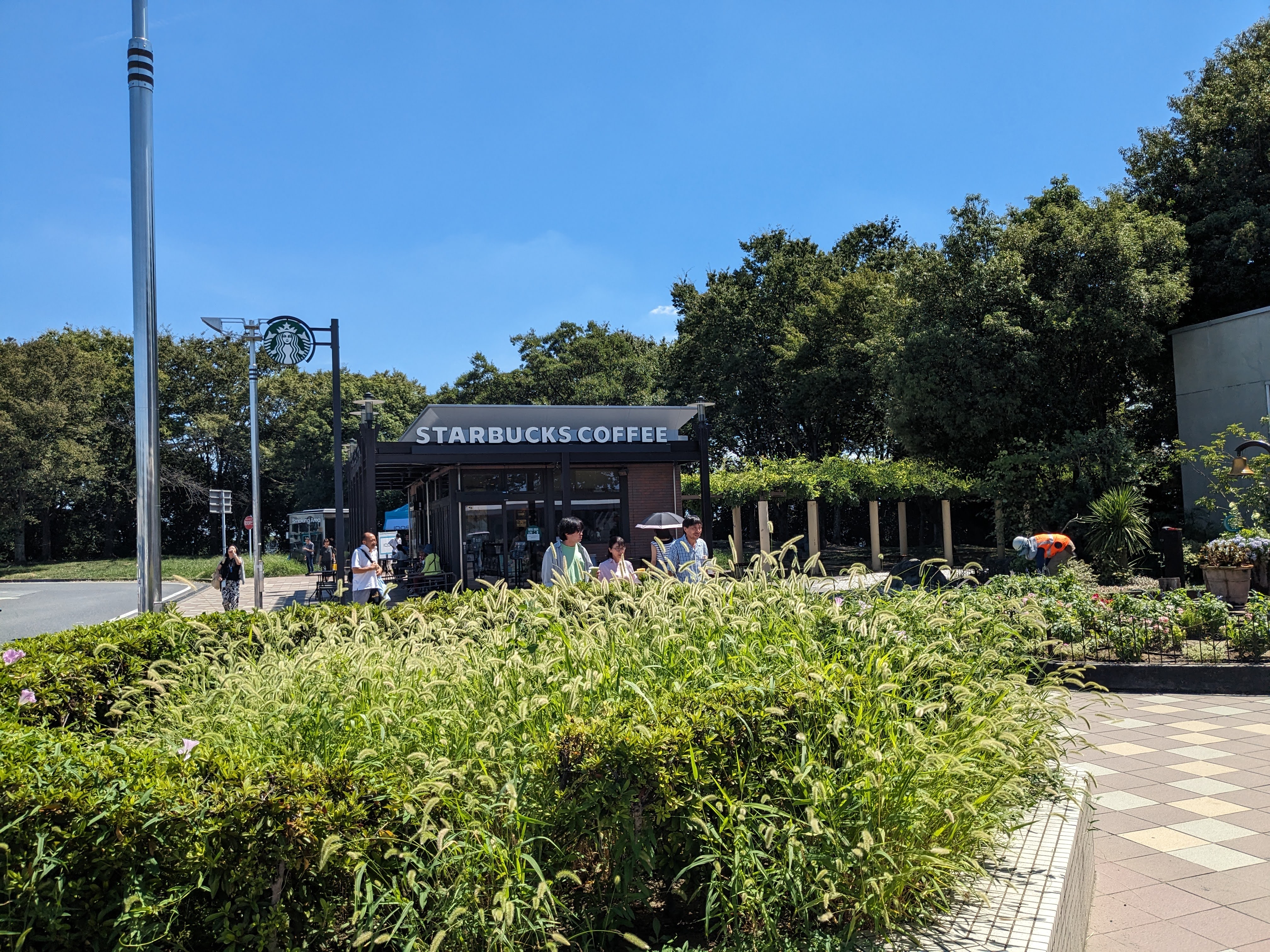 Starbucks
